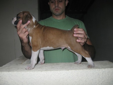 Byron - Belo Horizonte - MG